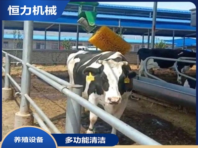 自感應電動旋轉牛體刷工作視頻