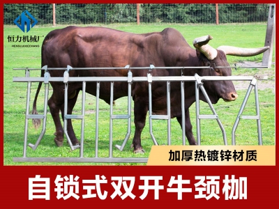 雙開牛頸枷現(xiàn)場使用視頻