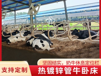 雙面牛臥欄的設(shè)計(jì)特點(diǎn)是什么
