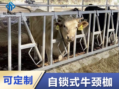 安裝熱鍍鋅牛頸夾時(shí)常見(jiàn)的五個(gè)錯(cuò)誤